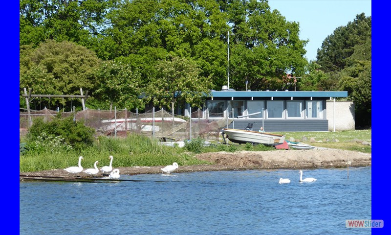 Lergravens sejl- og Fiskeriklub 110