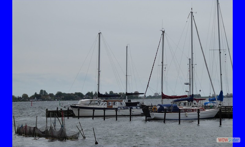 Lergravens sejl- og Fiskeriklub 260