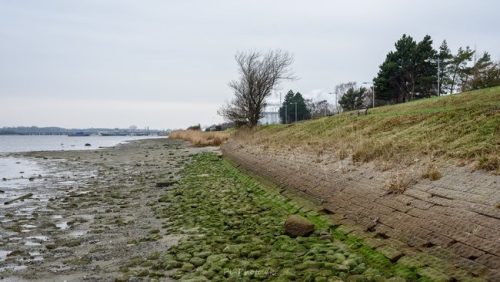 Lavvande-01-JP-Photo.dk 