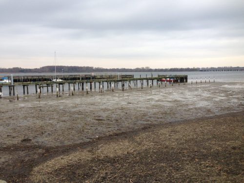 Lavvande ved Lergraven 2018