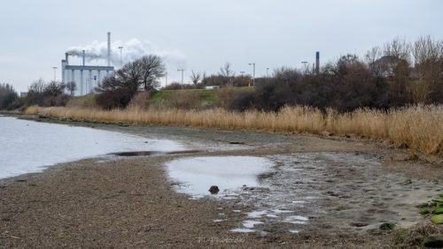 Lavvande-06-JP-Photo.dk 