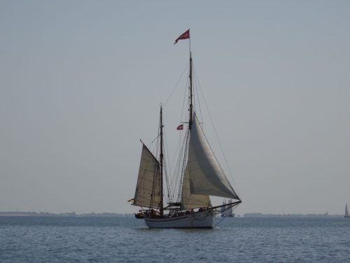 Nystedtur-2015-august-1450