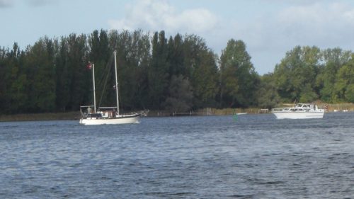 Paalideligheds-sejlads-2015-2587
