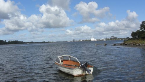 Paalideligheds-sejlads-2015-2631