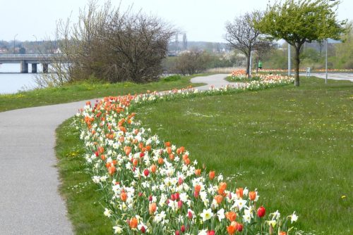 Standerhejsning-2016-000