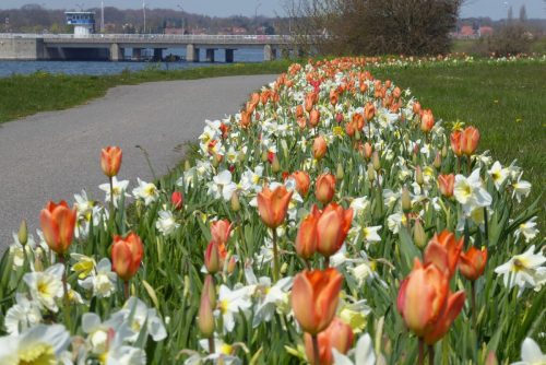 Standerhejsning-2016-001