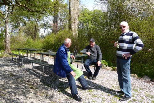 Standerhejsning-2016-006