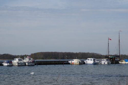 Standerhejsning-2016-008