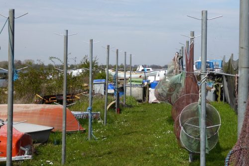 Standerhejsning-2016-009