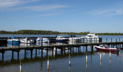 Standerhejsning-2018-2