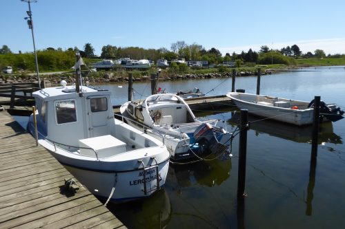 Standerhejsning-2018-3