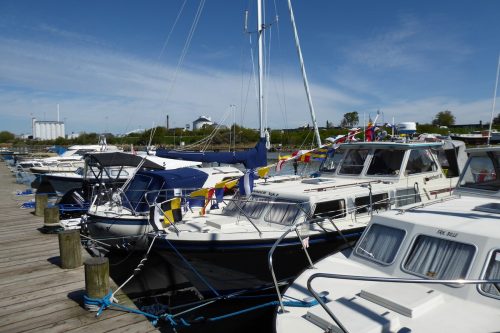 Standerhejsning-2018-5