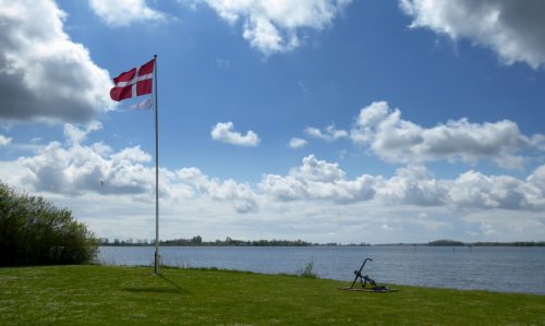 Standerhejsning 2020