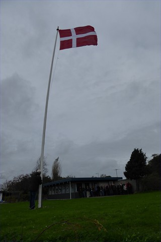 standerstrygning 2017017