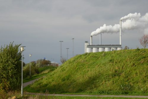 Standerstrygning-2019-017
